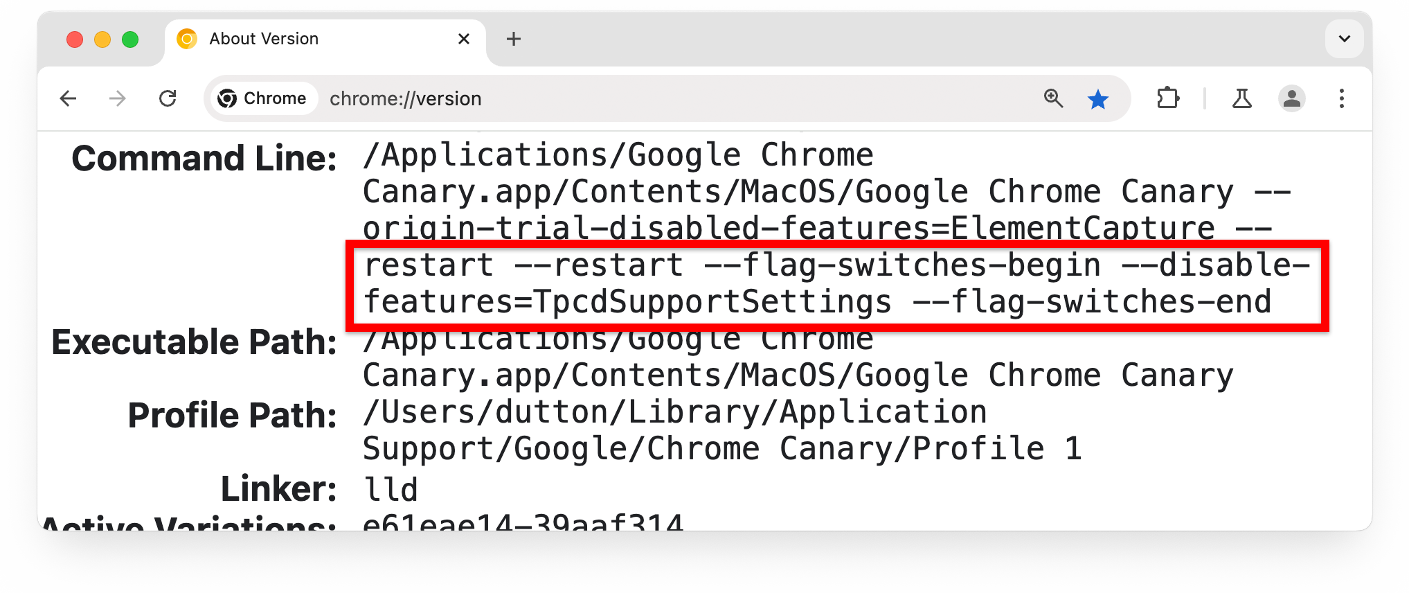 chrome://version 頁面，其中「Command Line」部分醒目顯示的旗標